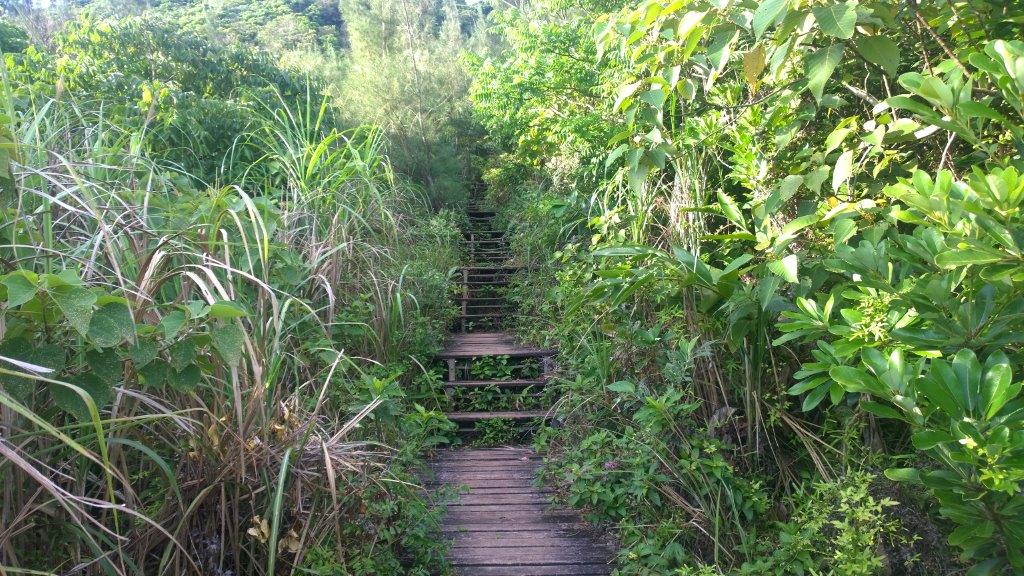 Beautiful hiking trail on Lanyu, the Orchid Island