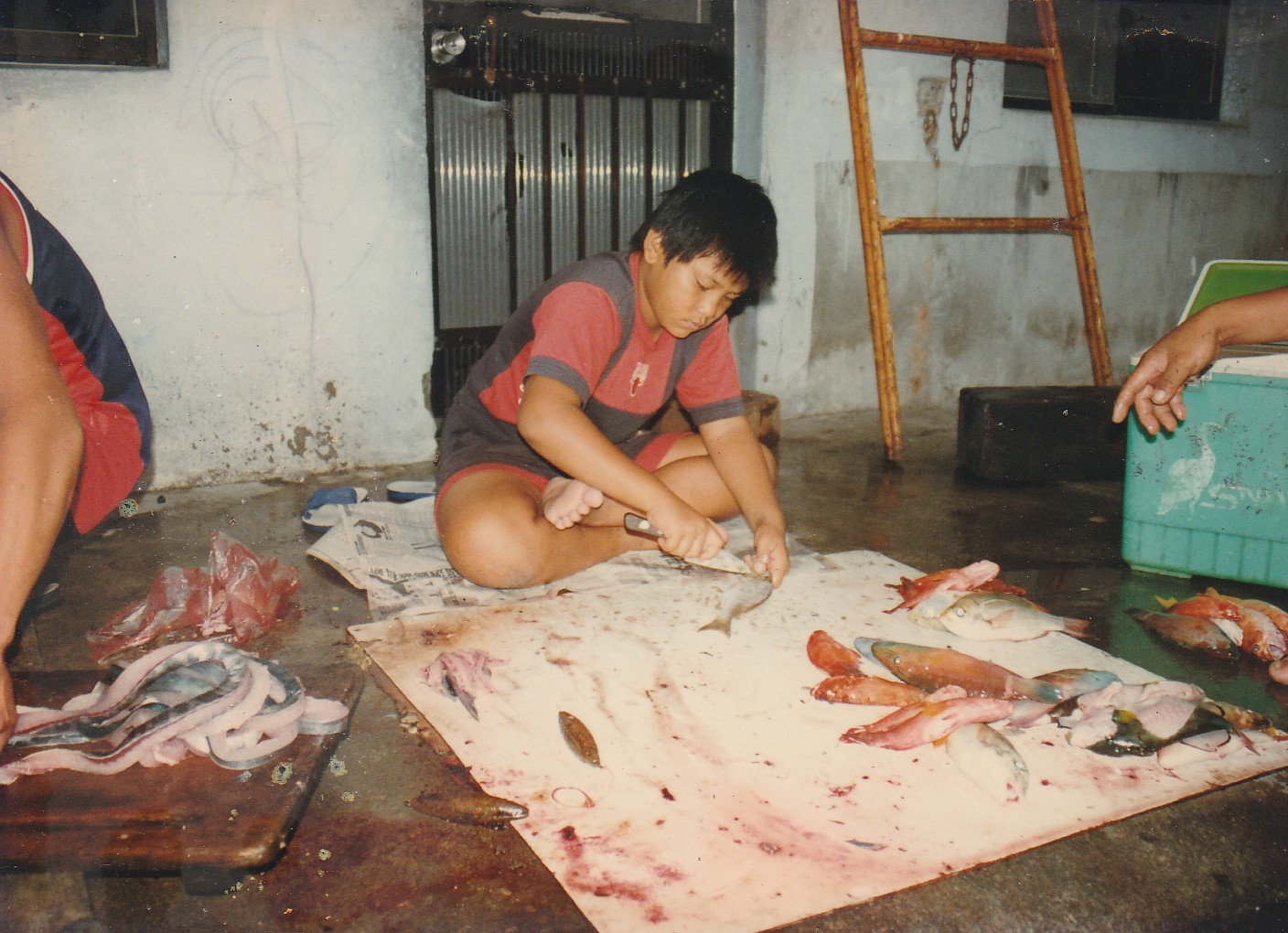 Child with skills for cutting fish for preparation