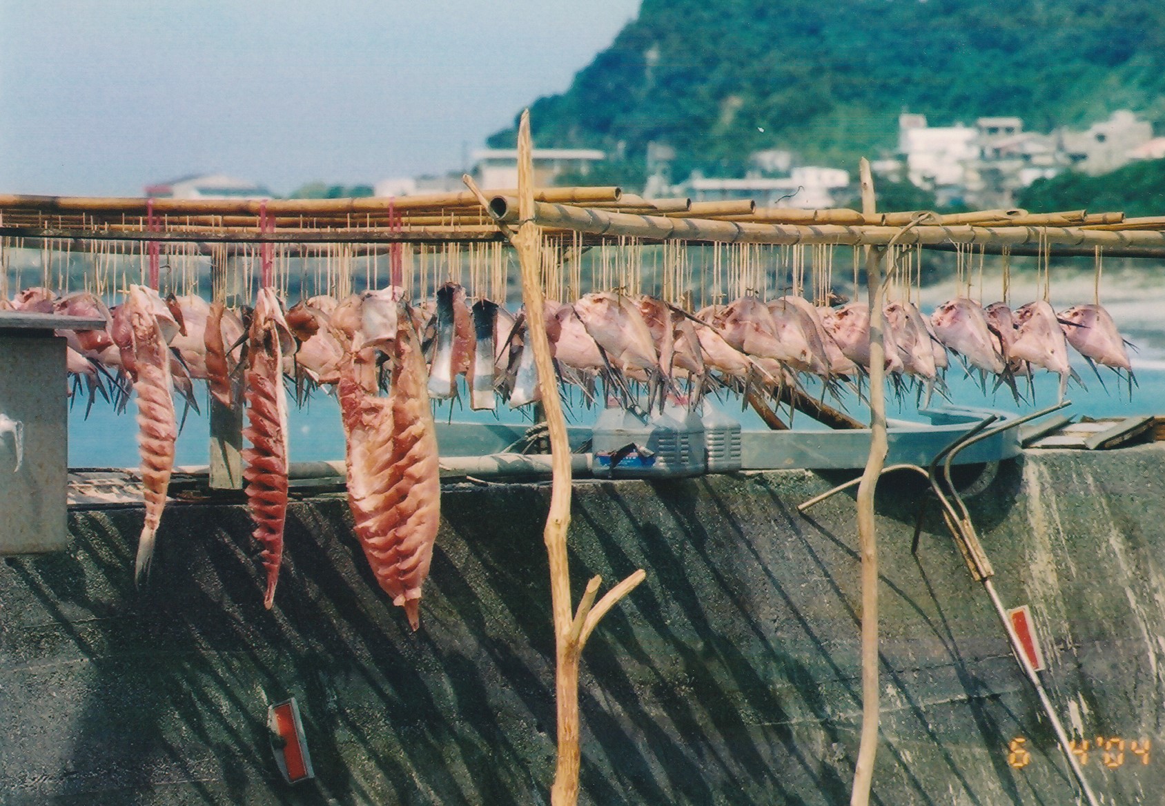 Air drying and preservation of fish